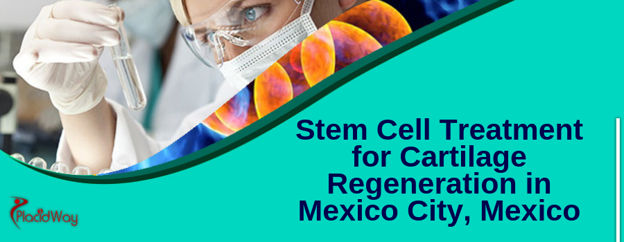 Stem Cell Therapy for Cartilage Regeneration